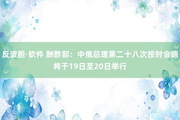 反波胆·软件 酬酢部：中俄总理第二十八次按时会晤将于19日至20日举行