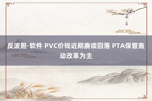 反波胆·软件 PVC价钱近期赓续回落 PTA保管轰动改革为主