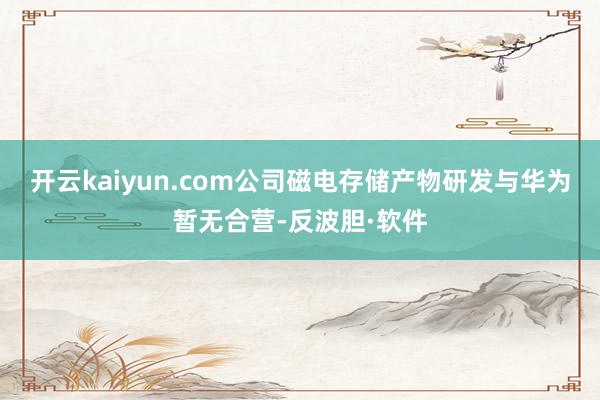 开云kaiyun.com公司磁电存储产物研发与华为暂无合营-反波胆·软件