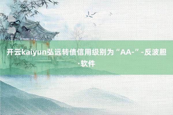 开云kaiyun弘远转债信用级别为“AA-”-反波胆·软件