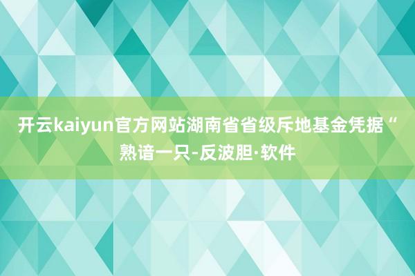 开云kaiyun官方网站湖南省省级斥地基金凭据“熟谙一只-反波胆·软件