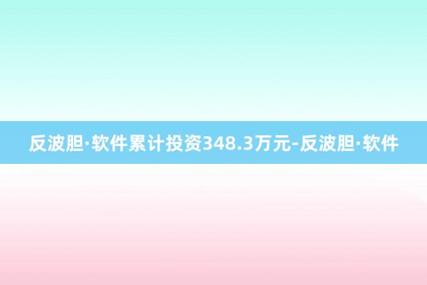 反波胆·软件累计投资348.3万元-反波胆·软件