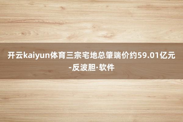 开云kaiyun体育三宗宅地总肇端价约59.01亿元-反波胆·软件