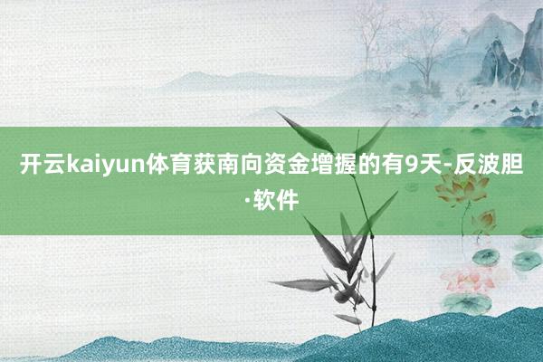 开云kaiyun体育获南向资金增握的有9天-反波胆·软件