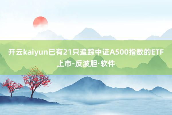 开云kaiyun已有21只追踪中证A500指数的ETF上市-反波胆·软件