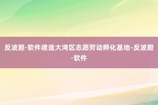 反波胆·软件建造大湾区志愿劳动孵化基地-反波胆·软件