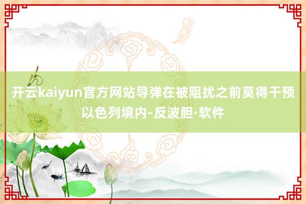 开云kaiyun官方网站导弹在被阻扰之前莫得干预以色列境内-反波胆·软件