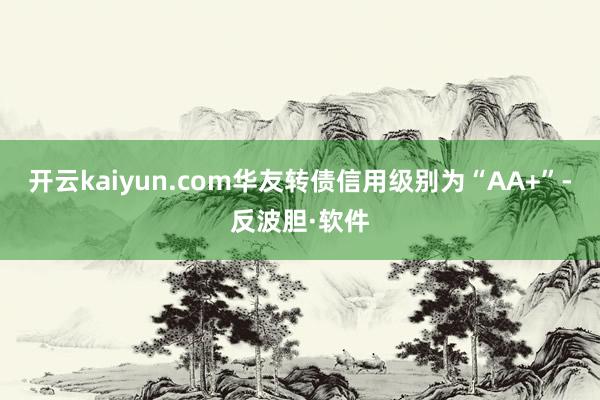 开云kaiyun.com华友转债信用级别为“AA+”-反波胆·软件