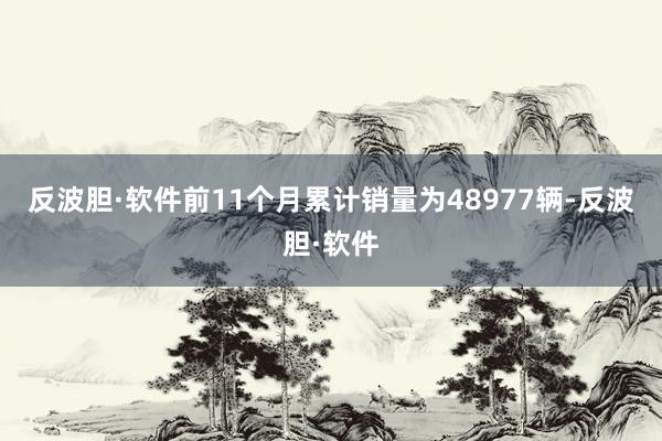 反波胆·软件前11个月累计销量为48977辆-反波胆·软件