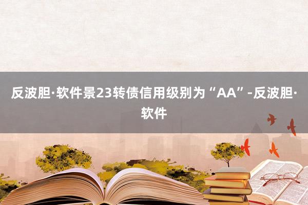 反波胆·软件景23转债信用级别为“AA”-反波胆·软件