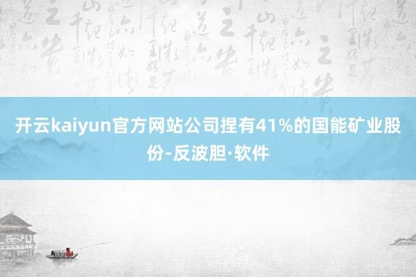 开云kaiyun官方网站公司捏有41%的国能矿业股份-反波胆·软件