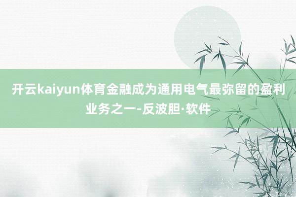 开云kaiyun体育金融成为通用电气最弥留的盈利业务之一-反波胆·软件