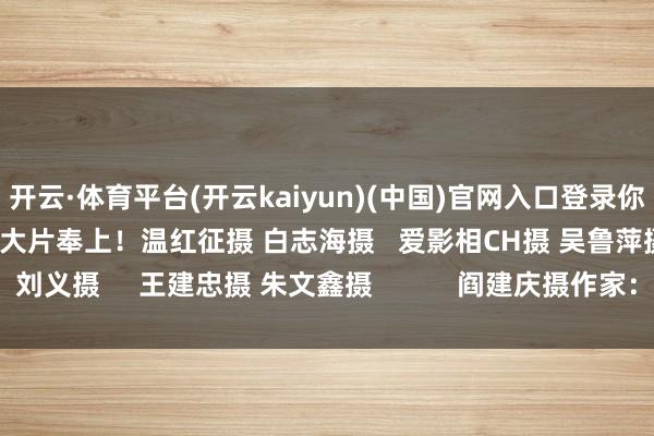 开云·体育平台(开云kaiyun)(中国)官网入口登录你看到了吗？一组好意思图大片奉上！温红征摄 白志海摄   爱影相CH摄 吴鲁萍摄   刘义摄     王建忠摄 朱文鑫摄           阎建庆摄作家：白志海    -反波胆·软件