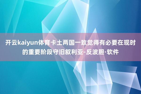 开云kaiyun体育卡土两国一致觉得有必要在现时的重要阶段守旧叙利亚-反波胆·软件