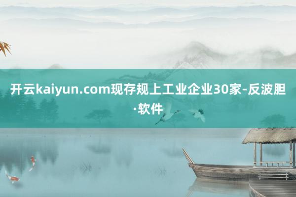 开云kaiyun.com现存规上工业企业30家-反波胆·软件